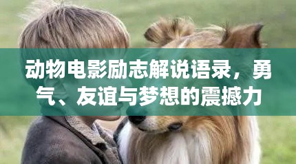 动物电影励志解说语录,勇气、友谊与梦想的震撼力量