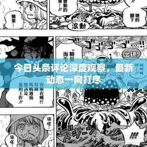 今日头条评论深度观察，最新动态一网打尽