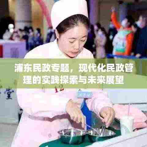 浦东民政专题,现代化民政管理的实践探索与未来展望