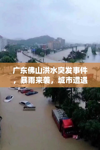 广东佛山洪水突发事件,暴雨来袭,城市遭遇水患挑战