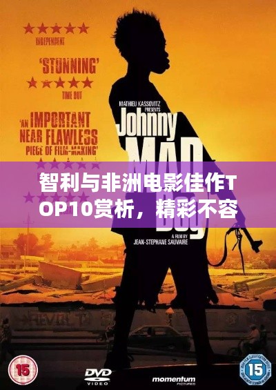 智利与非洲电影佳作TOP10赏析,精彩不容错过!