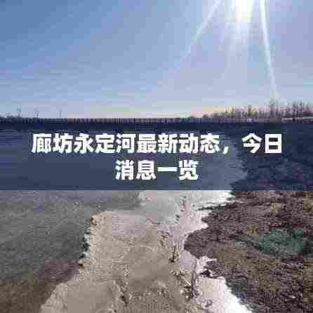 富贵有余 第3页