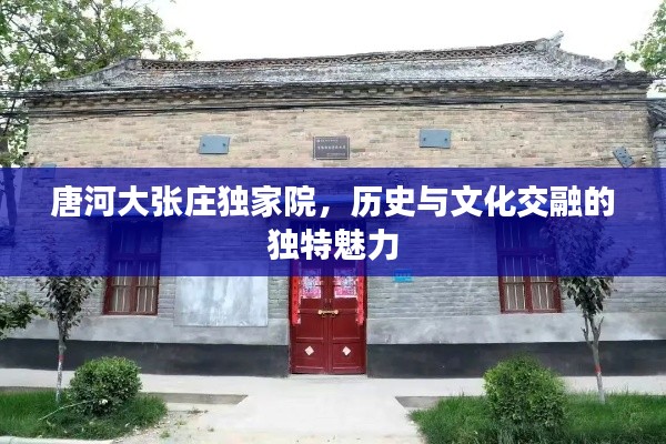 唐河大张庄独家院，历史与文化交融的独特魅力