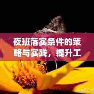 夜班落实条件的策略与实践,提升工作效率与保障健康