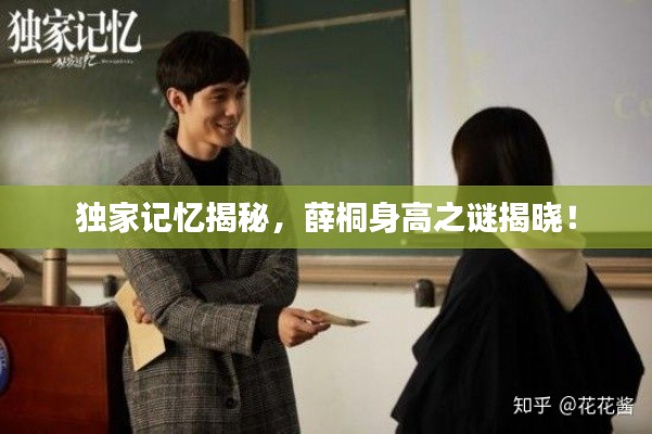 独家记忆揭秘，薛桐身高之谜揭晓！