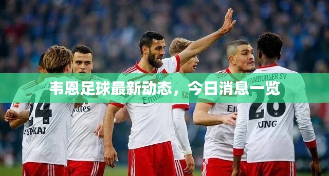 韦恩足球最新动态,今日消息一览