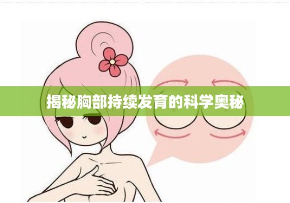 揭秘胸部持续发育的科学奥秘