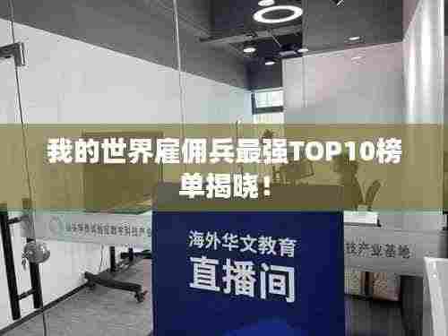 我的世界雇佣兵最强TOP10榜单揭晓!