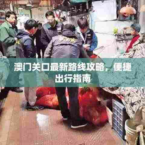 澳门关口最新路线攻略，便捷出行指南