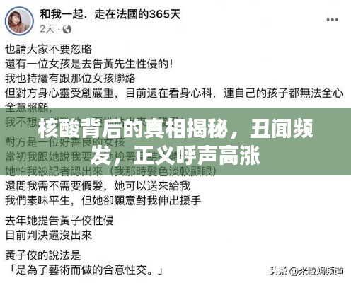 核酸背后的真相揭秘,丑闻频发,正义呼声高涨