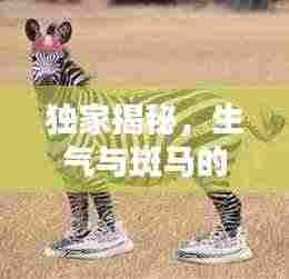 一言九鼎 第3页