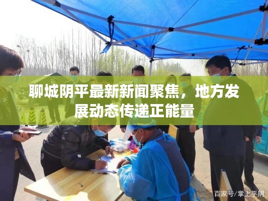 聊城阴平最新新闻聚焦,地方发展动态传递正能量