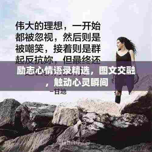 励志心情语录精选，图文交融，触动心灵瞬间