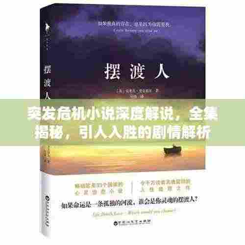 突发危机小说深度解说,全集揭秘,引人入胜的剧情解析