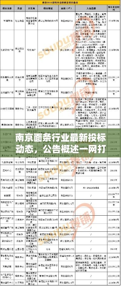 南京面条行业最新投标动态，公告概述一网打尽