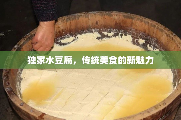 独家水豆腐,传统美食的新魅力