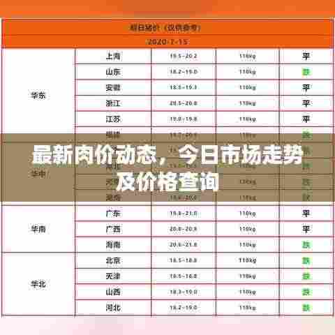 最新肉价动态,今日市场走势及价格查询