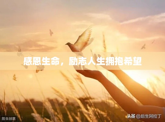 感恩生命,励志人生拥抱希望