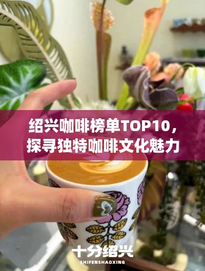 绍兴咖啡榜单TOP10,探寻独特咖啡文化魅力