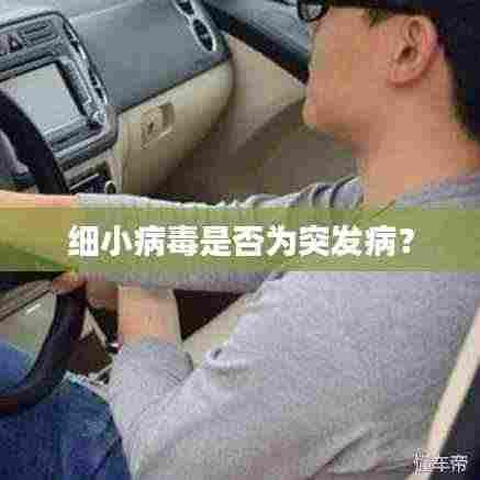 细小病毒是否为突发病？