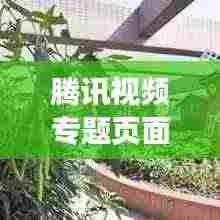 腾讯视频专题页面，深度内容与用户体验的交融呈现