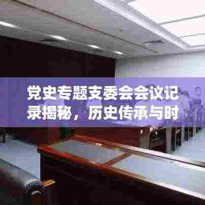 党史专题支委会会议记录揭秘,历史传承与时代责任的交汇