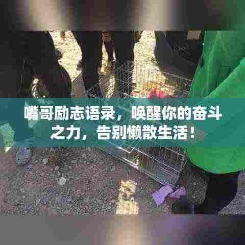 嘴哥励志语录，唤醒你的奋斗之力，告别懒散生活！