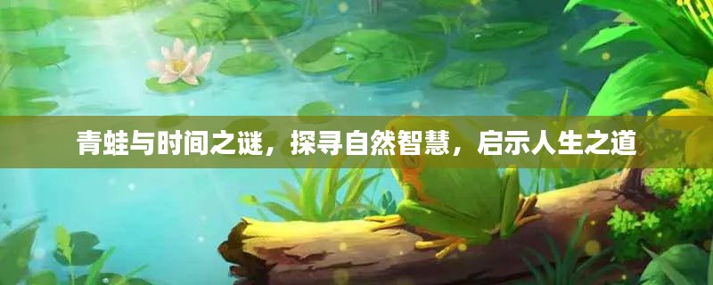 青蛙与时间之谜,探寻自然智慧,启示人生之道