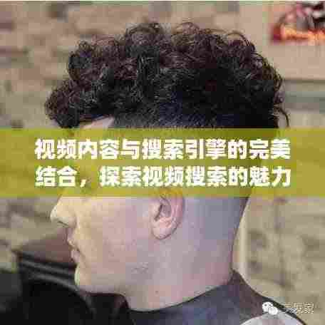 视频内容与搜索引擎的完美结合,探索视频搜索的魅力
