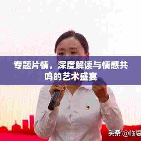 专题片情,深度解读与情感共鸣的艺术盛宴