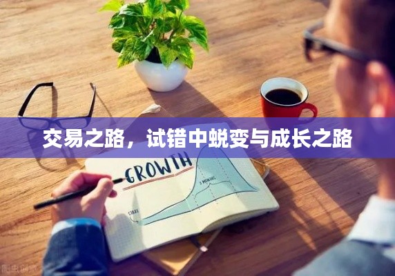 交易之路,试错中蜕变与成长之路