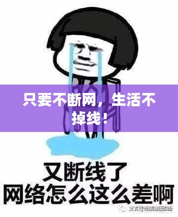 只要不断网,生活不掉线!