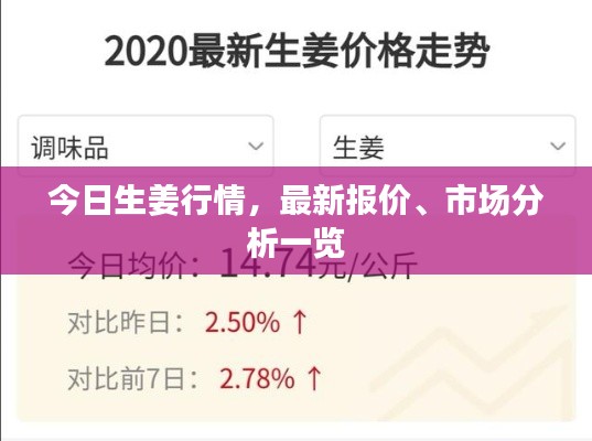今日生姜行情,最新报价、市场分析一览