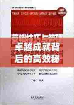 卓越成就背后的高效秘诀，名人高效例子大揭秘