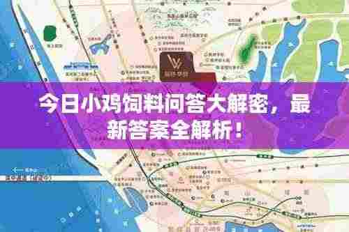 今日小鸡饲料问答大解密,最新答案全解析!