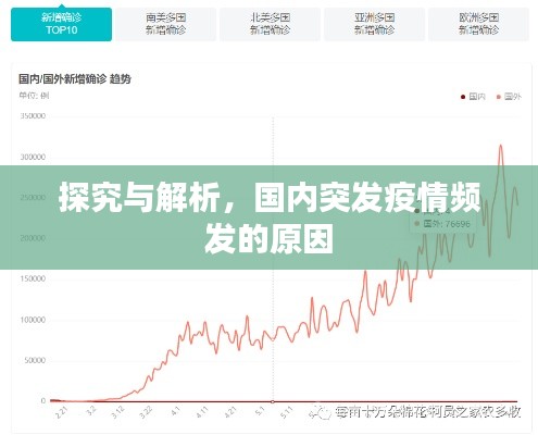 探究与解析，国内突发疫情频发的原因
