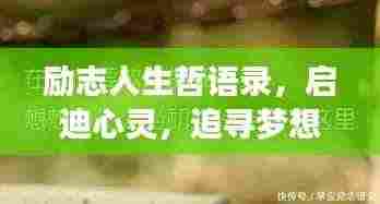 励志人生哲语录,启迪心灵,追寻梦想的力量