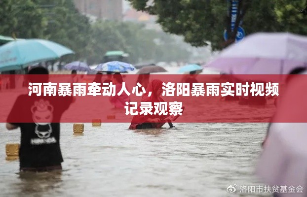 河南暴雨牵动人心,洛阳暴雨实时视频记录观察