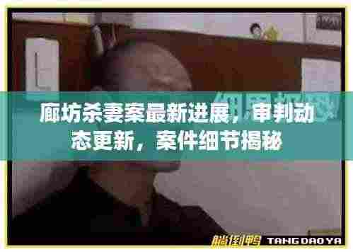 廊坊杀妻案最新进展,审判动态更新,案件细节揭秘