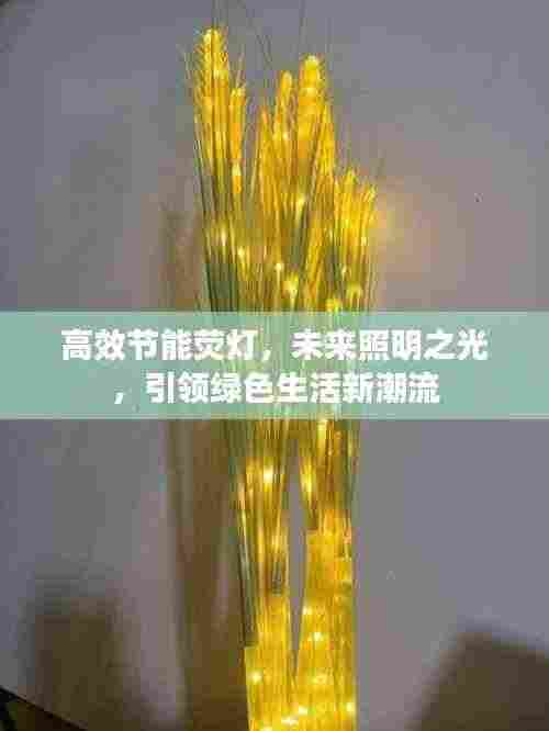 高效节能荧灯,未来照明之光,引领绿色生活新潮流