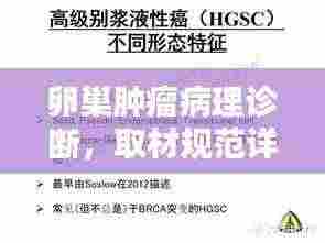 卵巢肿瘤病理诊断,取材规范详解